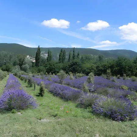 La Des Pins Poët-laval * Le Poët-Laval